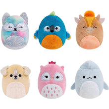 Apresentamos Squishville Mini Squishmallows Esquadrão do Quadro de Honra com o SKU 23047224 recomendado para + 3 anos
