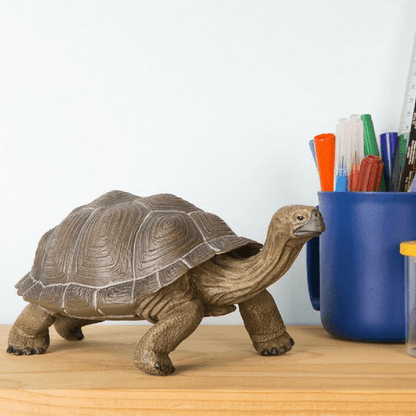 Introducing Galápagos Giant Tortoise rubber figure with SKU 432607223, recommended for ages 3+