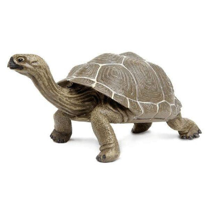 Introducing Galápagos Giant Tortoise rubber figure with SKU 432607223, recommended for ages 3+